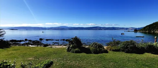 Calm cat reclining on a windowsill drenched in golden light
